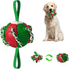 Magic Ball - PELOTA FRESBEE PARA PERROS
